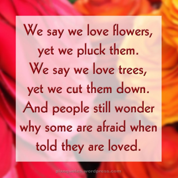 We say we love flowers, yet we pluck them...