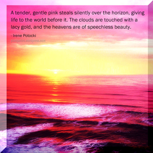 A tender gentle pink steals silently over the horizon...